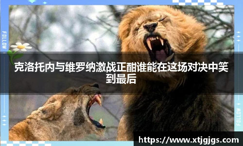 克洛托内与维罗纳激战正酣谁能在这场对决中笑到最后