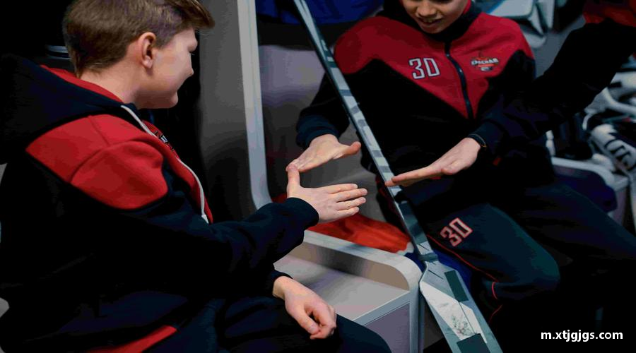 综述XK星空体育